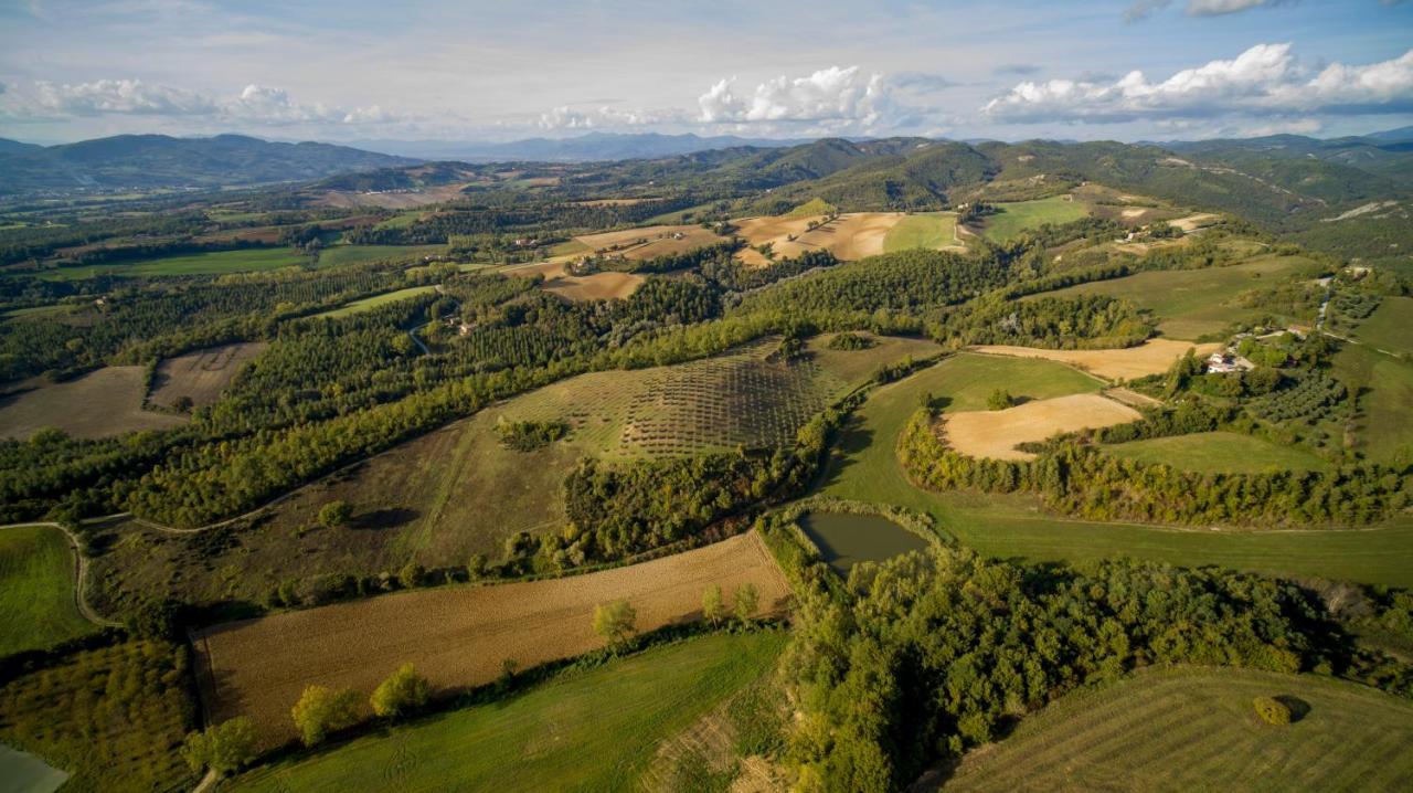 Agriturismo Il Sarale - Umbria Città di Castello Екстериор снимка
