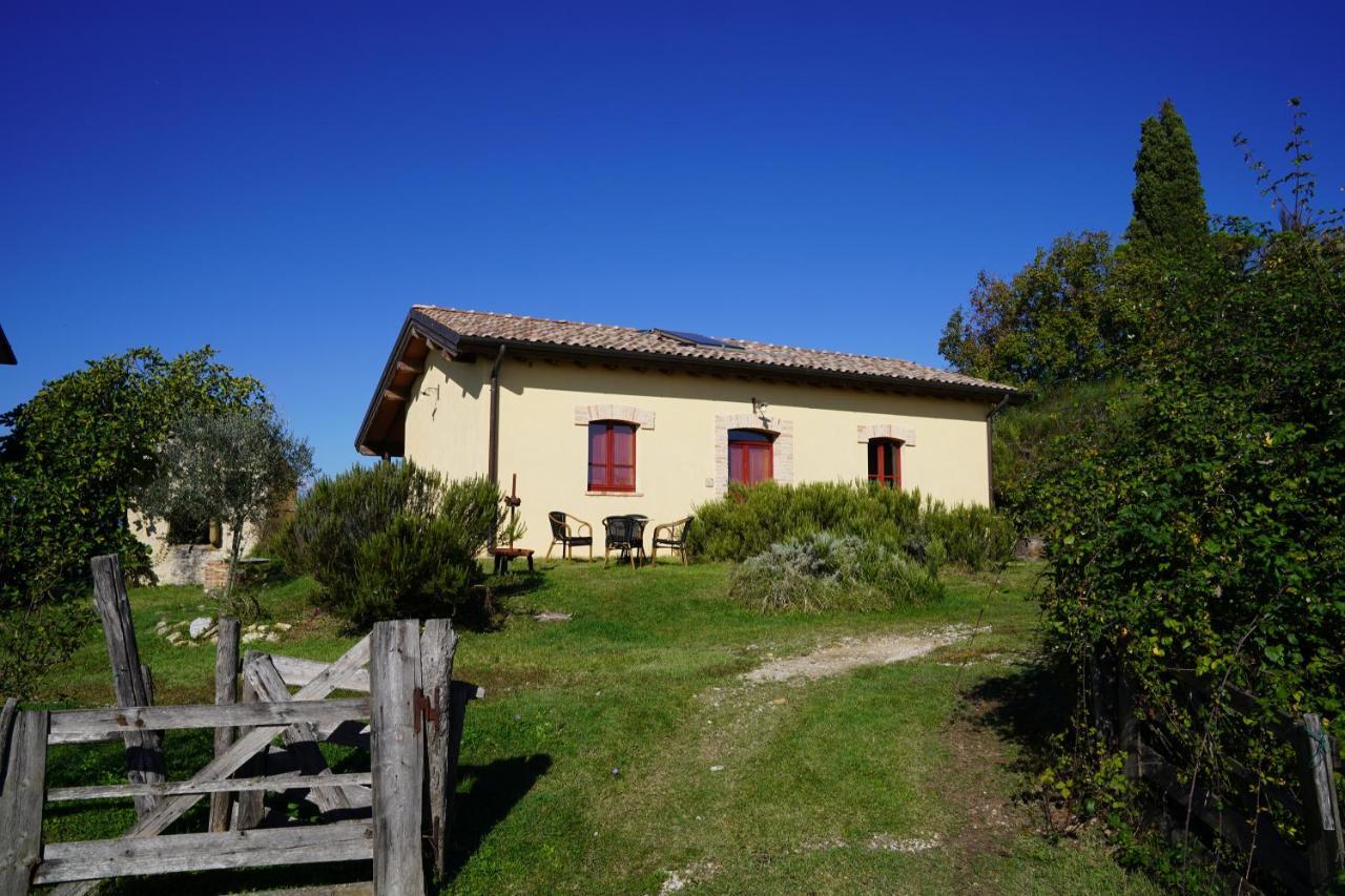 Agriturismo Il Sarale - Umbria Città di Castello Екстериор снимка