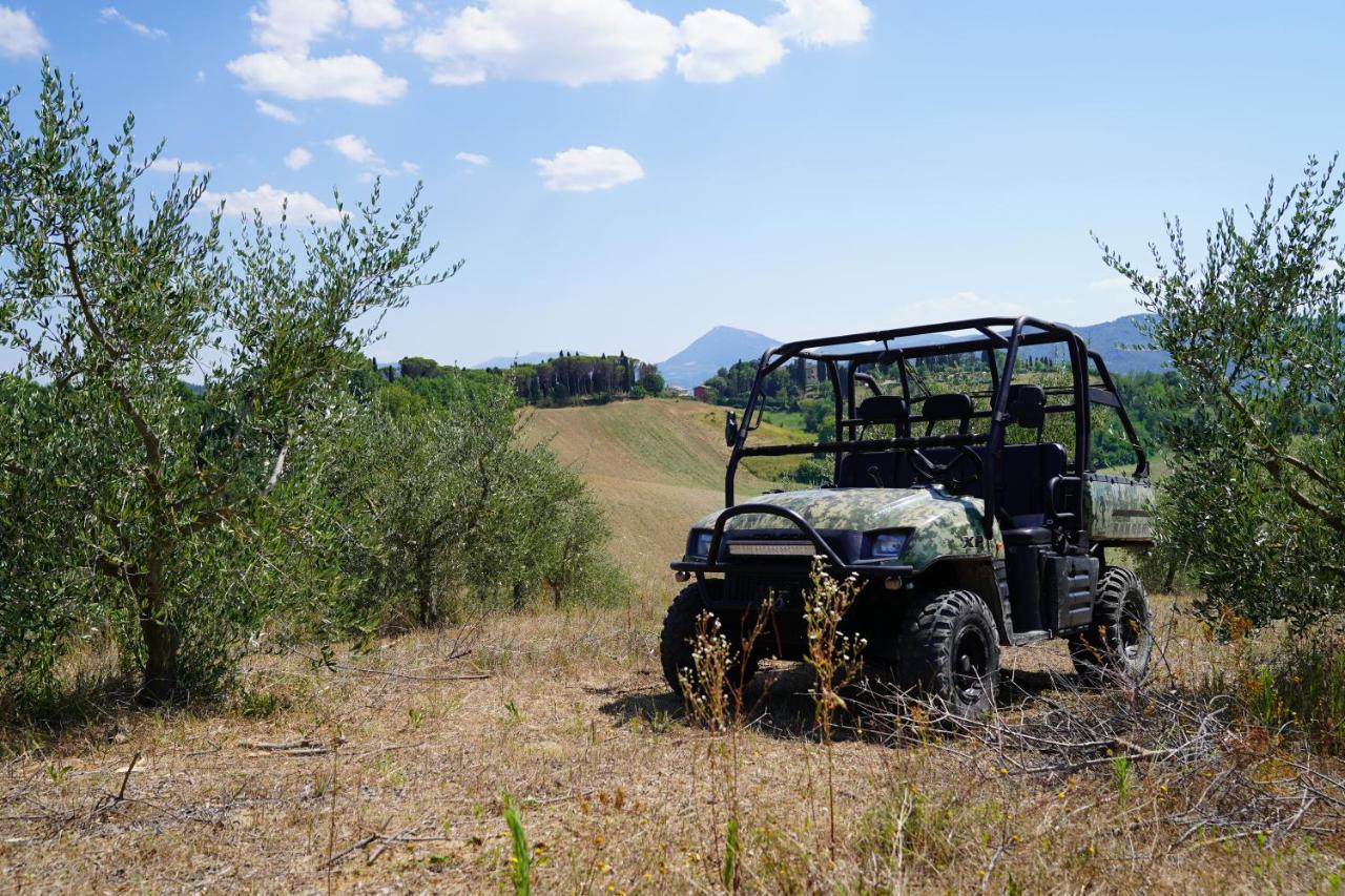 Agriturismo Il Sarale - Umbria Città di Castello Екстериор снимка