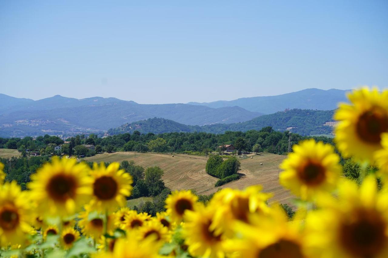 Agriturismo Il Sarale - Umbria Città di Castello Екстериор снимка